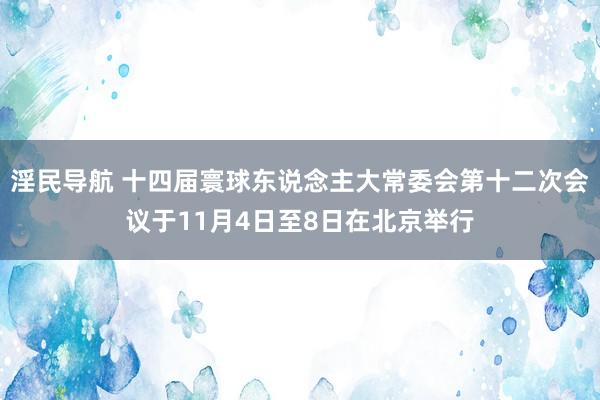 淫民导航 十四届寰球东说念主大常委会第十二次会议于11月4日至8日在北京举行