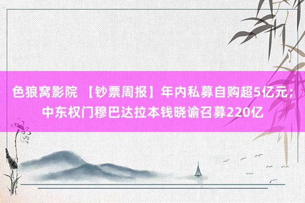 色狼窝影院 【钞票周报】年内私募自购超5亿元；中东权门穆巴达拉本钱晓谕召募220亿