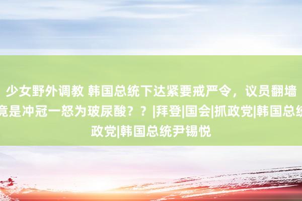 少女野外调教 韩国总统下达紧要戒严令，议员翻墙抗议…竟是冲冠一怒为玻尿酸？？|拜登|国会|抓政党|韩国总统尹锡悦