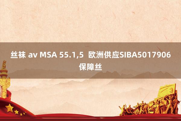 丝袜 av MSA 55.1，5  欧洲供应SIBA5017906保障丝