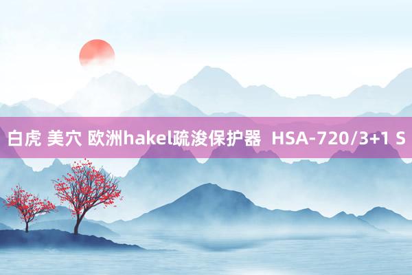 白虎 美穴 欧洲hakel疏浚保护器  HSA-720/3+1 S