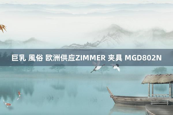 巨乳 風俗 欧洲供应ZIMMER 夹具 MGD802N