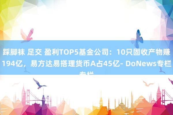 踩脚袜 足交 盈利TOP5基金公司：10只固收产物赚194亿，易方达易搭理货币A占45亿- DoNews专栏