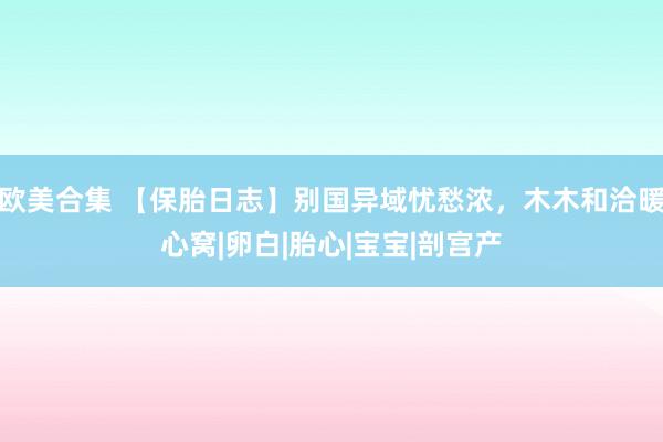 欧美合集 【保胎日志】别国异域忧愁浓，木木和洽暖心窝|卵白|胎心|宝宝|剖宫产
