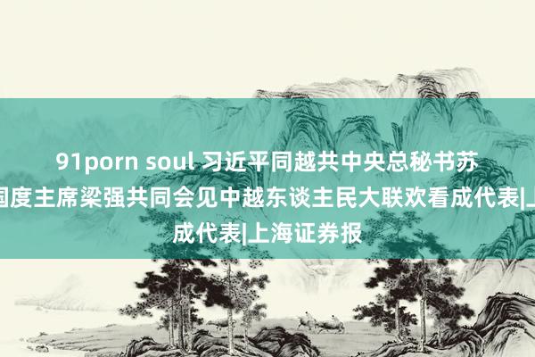 91porn soul 习近平同越共中央总秘书苏林、越南国度主席梁强共同会见中越东谈主民大联欢看成代表|上海证券报